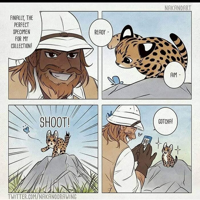 People-Share-Wholesome-Posts