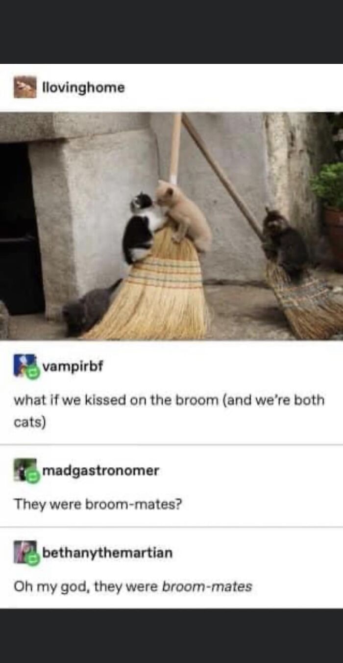 People-Share-Wholesome-Posts