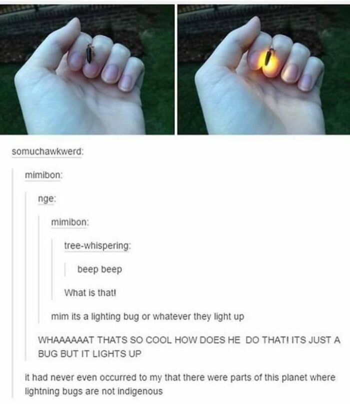 People-Share-Wholesome-Posts