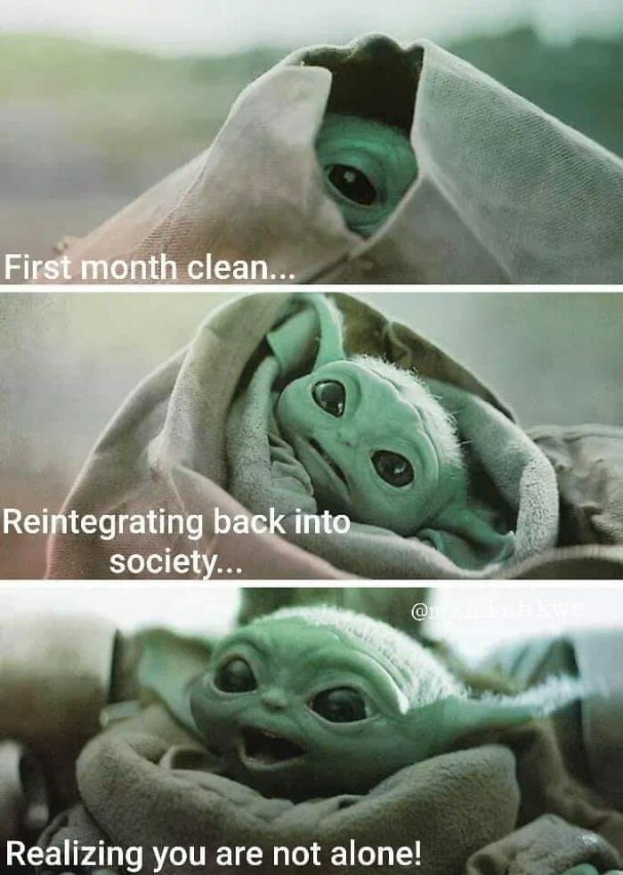 People-Share-Wholesome-Posts