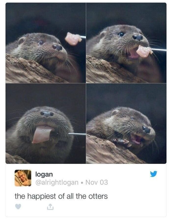 People-Share-Wholesome-Posts