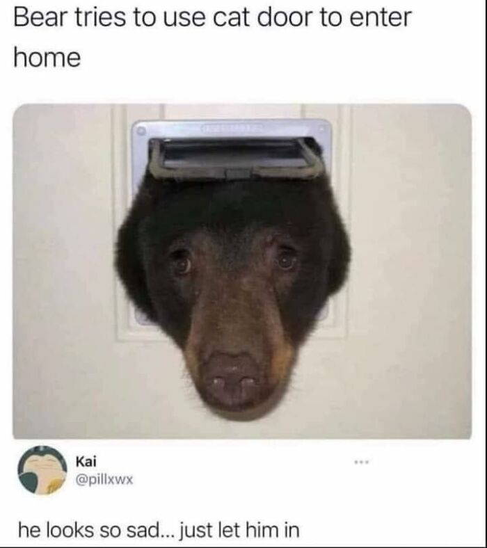 People-Share-Wholesome-Posts