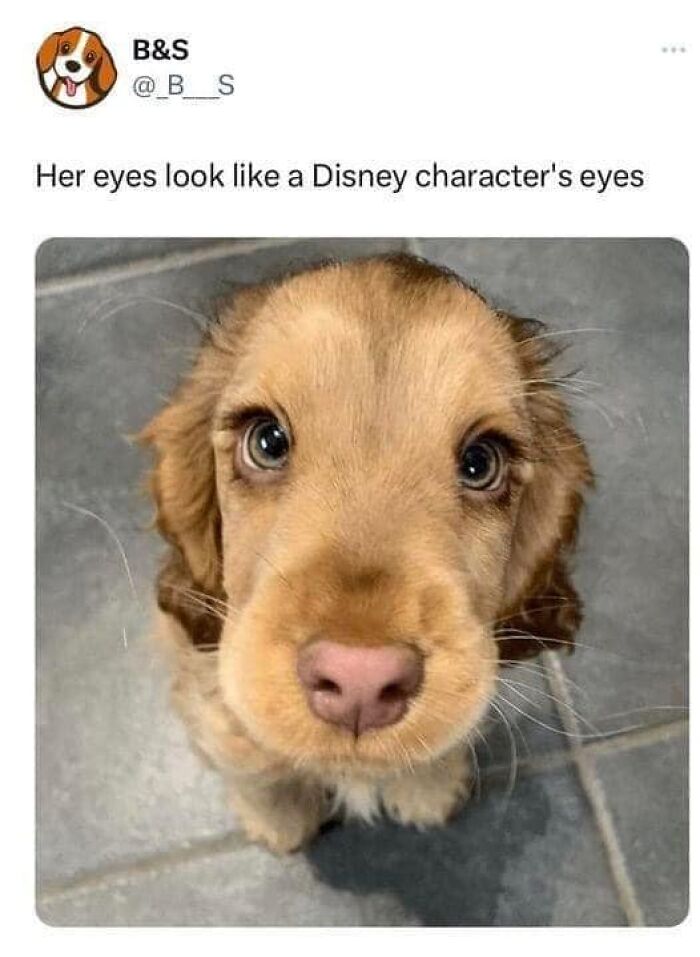 People-Share-Wholesome-Posts