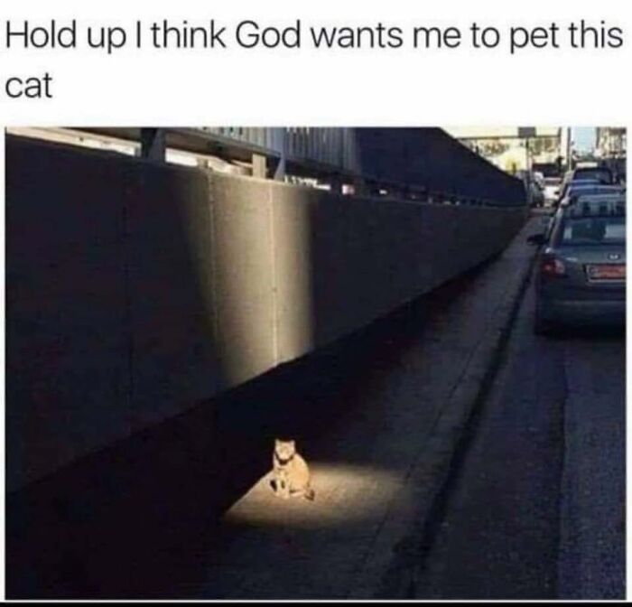 People-Share-Wholesome-Posts