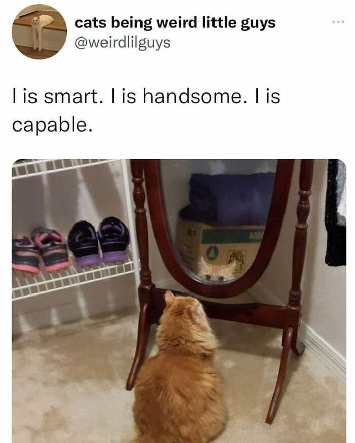 People-Share-Wholesome-Posts