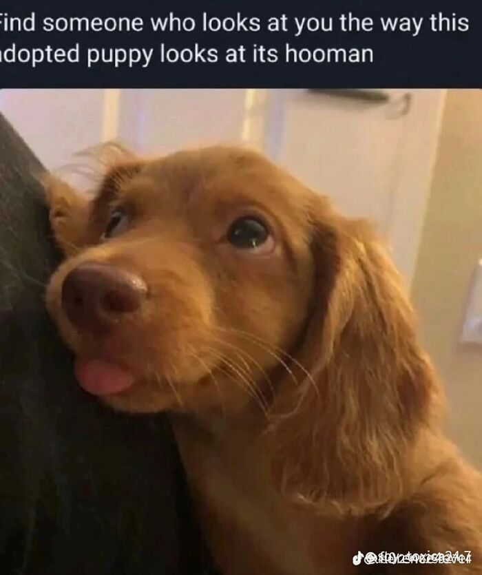 People-Share-Wholesome-Posts