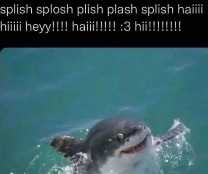 People-Share-Wholesome-Posts