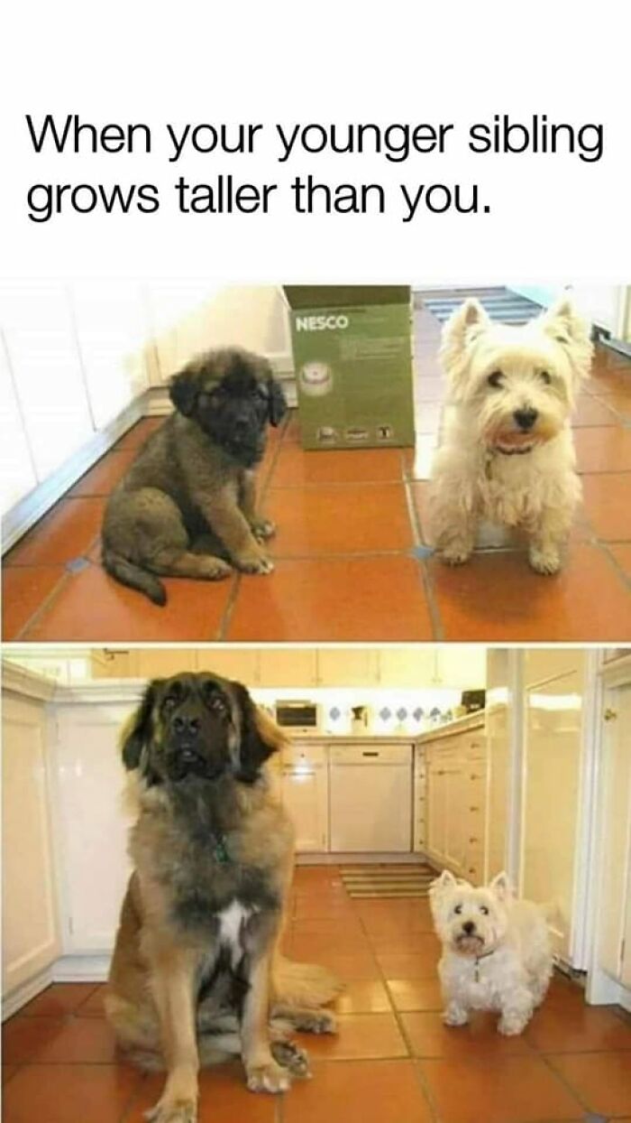 People-Share-Wholesome-Posts