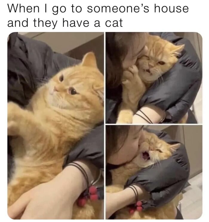 People-Share-Wholesome-Posts