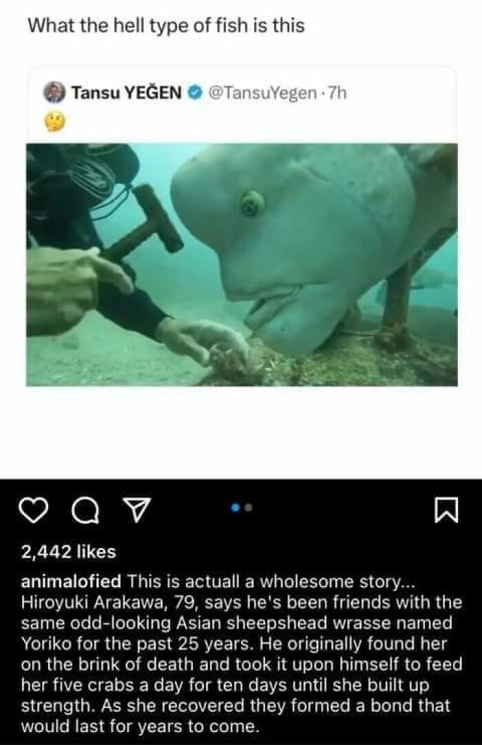 People-Share-Wholesome-Posts