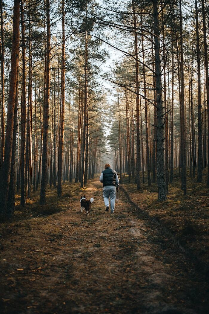 Person walking with dog on a forest path, capturing the feeling of exploring the great outdoors and its terrifying moments.