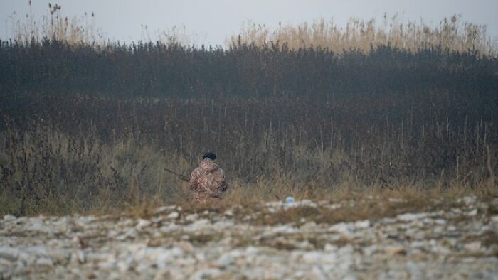 Person in camouflage clothing walking near tall dry grass while exploring the great outdoors in a remote area.
