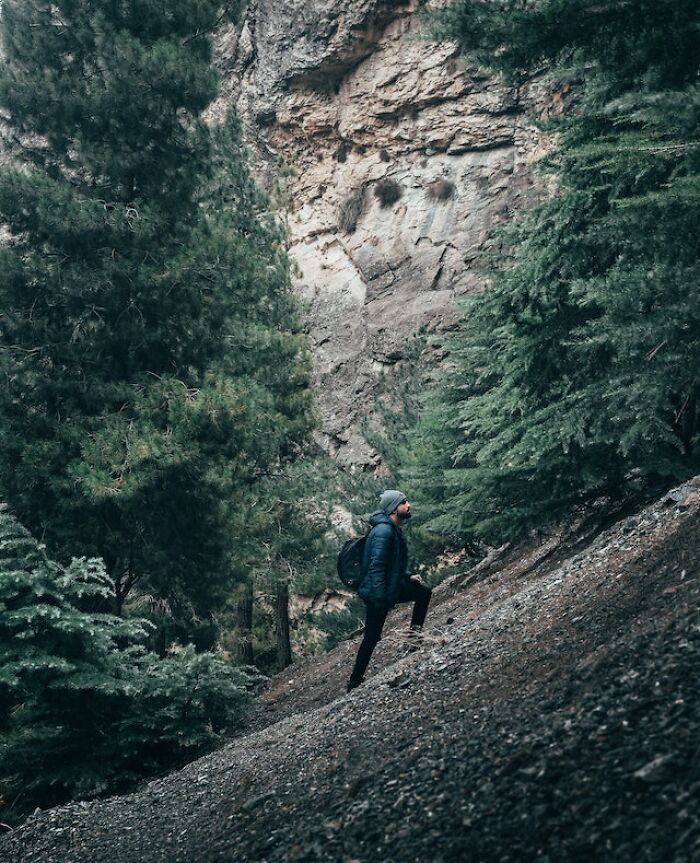 Hiker exploring the great outdoors on a steep forest trail surrounded by trees and rocky cliffs.