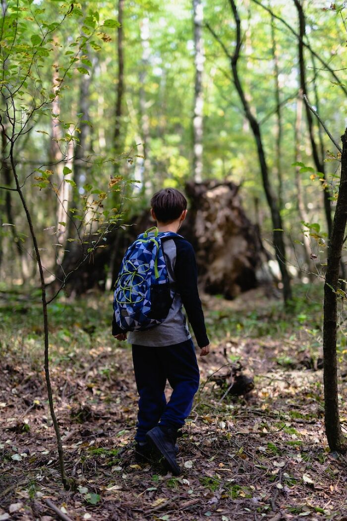 Child with backpack exploring the great outdoors in a dense forest, surrounded by trees and natural wilderness.