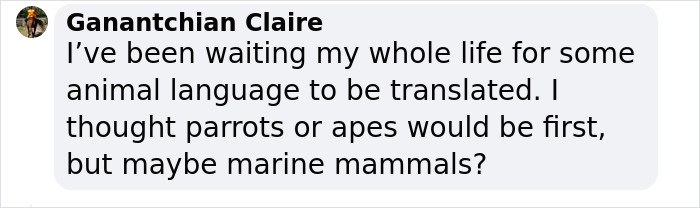 New Discovery Of Dolphins Using Baby Talk With Their Offspring Provides Fascinating Insight Into Animal Parenting