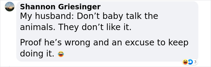 New Discovery Of Dolphins Using Baby Talk With Their Offspring Provides Fascinating Insight Into Animal Parenting