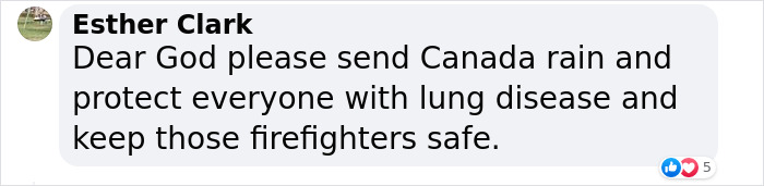 'Not An Apocalyptic Movie Scene': People Share What NYC Looks Like Right Now 'Not An Apocalyptic Movie Scene': People Share What NYC Looks Like Right Now