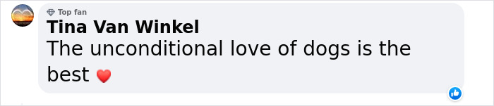 Video Showing A Service Dog Receiving A Diploma Alongside Owner With Disability Wins The Internet’s Hearts Video Showing A Service Dog Receiving A Diploma Alongside Owner With Disability Wins The Internet’s Hearts