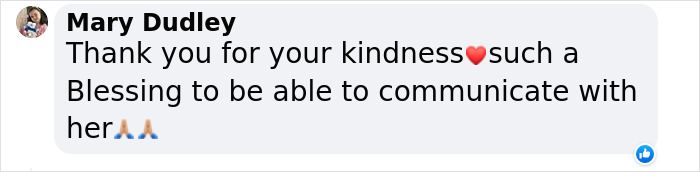 Incredible Moment As Whale Swims Up To Captain And Makes An Unusual Request Caught On Video