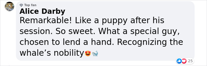 Incredible Moment As Whale Swims Up To Captain And Makes An Unusual Request Caught On Video