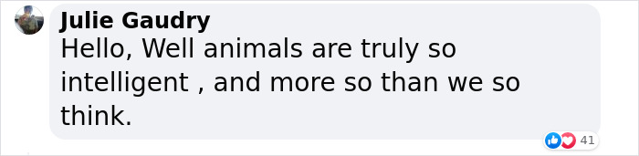 Incredible Moment As Whale Swims Up To Captain And Makes An Unusual Request Caught On Video