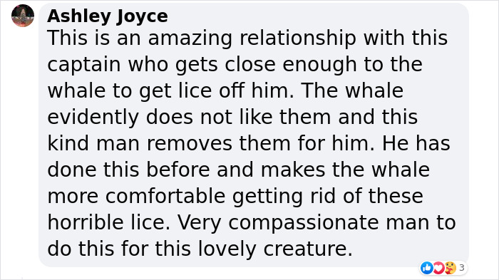 Incredible Moment As Whale Swims Up To Captain And Makes An Unusual Request Caught On Video