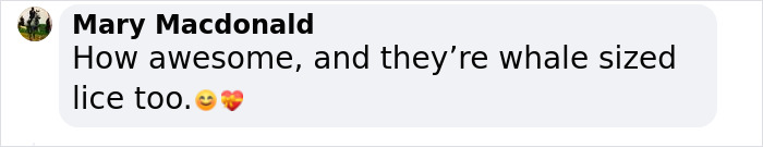 Incredible Moment As Whale Swims Up To Captain And Makes An Unusual Request Caught On Video