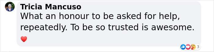 Incredible Moment As Whale Swims Up To Captain And Makes An Unusual Request Caught On Video