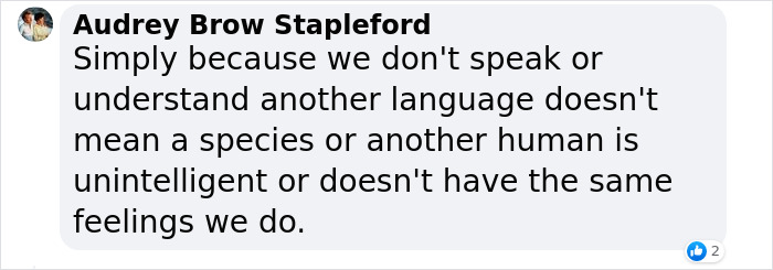 New Discovery Of Dolphins Using Baby Talk With Their Offspring Provides Fascinating Insight Into Animal Parenting