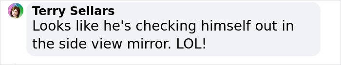 &lsquo;New Employee&rsquo; Black Bear Leaves Staff Hungry After Helping Himself To Their Lunch