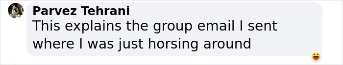 Comment from Parvez Tehrani joking about emails and horsing around, with a laughing emoji.
