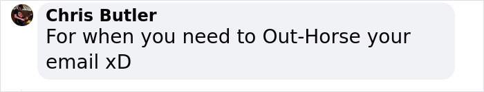 Comment about Icelandic horses replying to emails humorously.