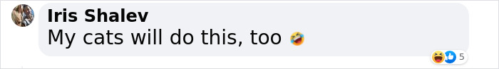 A comment reading "My cats will do this, too" with a laughing emoji, referencing Icelandic horses.