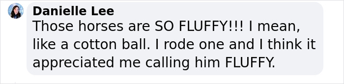 "Comment by Danielle Lee about fluffy Icelandic horses, comparing them to cotton balls and appreciating their fluffiness.