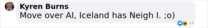 "Comment mentioning Icelandic horses replying to emails, referencing AI humorously.