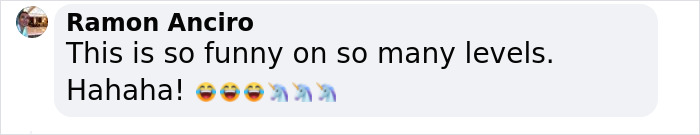 Text comment with emojis, laughing and unicorns, about Icelandic horses' keyboard emails.