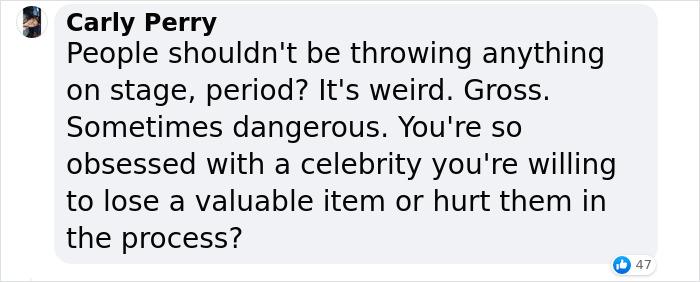 Pink&rsquo;s Fan Throws Late Mother&rsquo;s Ashes At Singer During Concert, She Responds