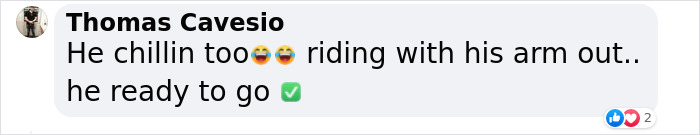 &lsquo;New Employee&rsquo; Black Bear Leaves Staff Hungry After Helping Himself To Their Lunch