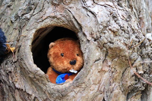 Wholesome Story Of A Dad Taking His Daughter&rsquo;s Favorite Toy To Work After She Left It In The Car