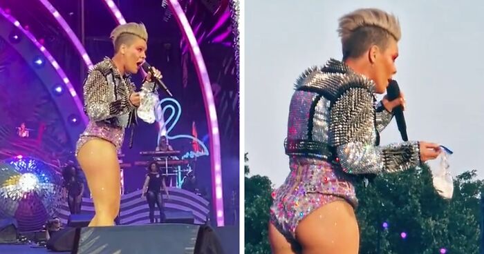 Pink’s Fan Throws Late Mother’s Ashes At Singer During Concert, She Responds