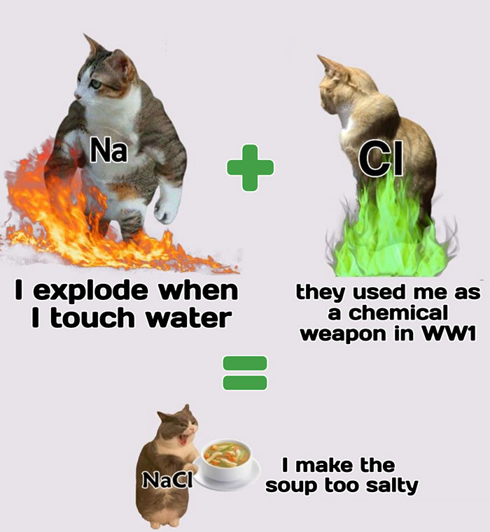Funny science meme featuring cats as chemical elements Na and Cl explaining salt formation with humor.