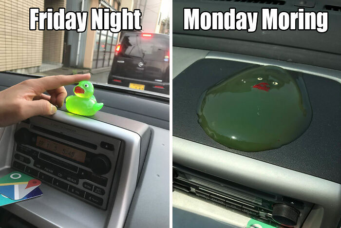 A green rubber duck melts on a car dashboard, humorously depicting Monday memes.