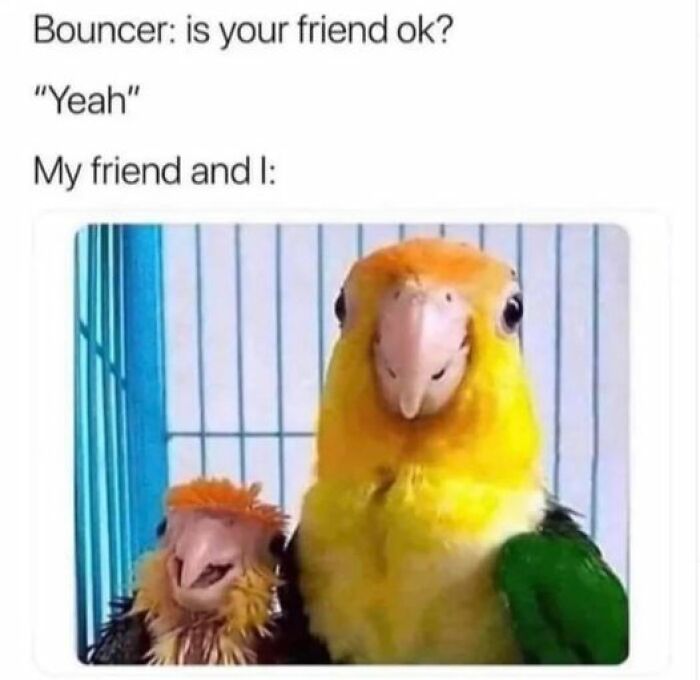 Relatable-Funny-Memes-Jokes