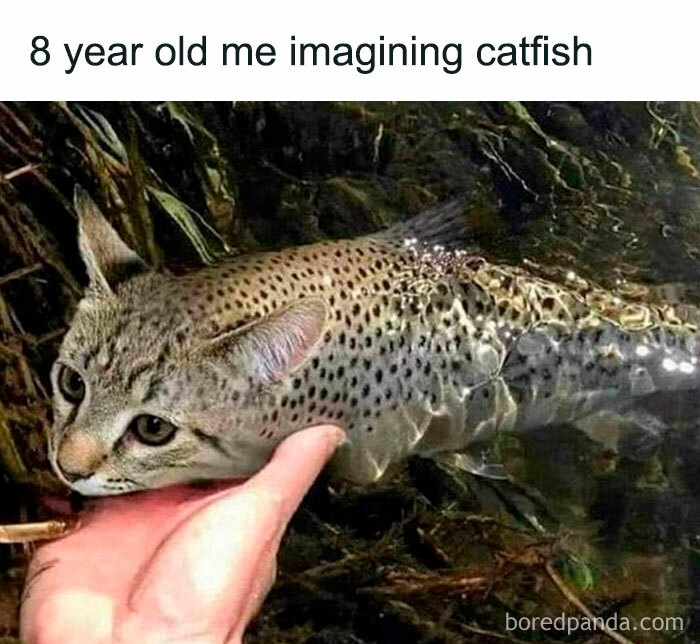 A relatable meme featuring a catfish with a cat's head, illustrating humorous childhood imagination.