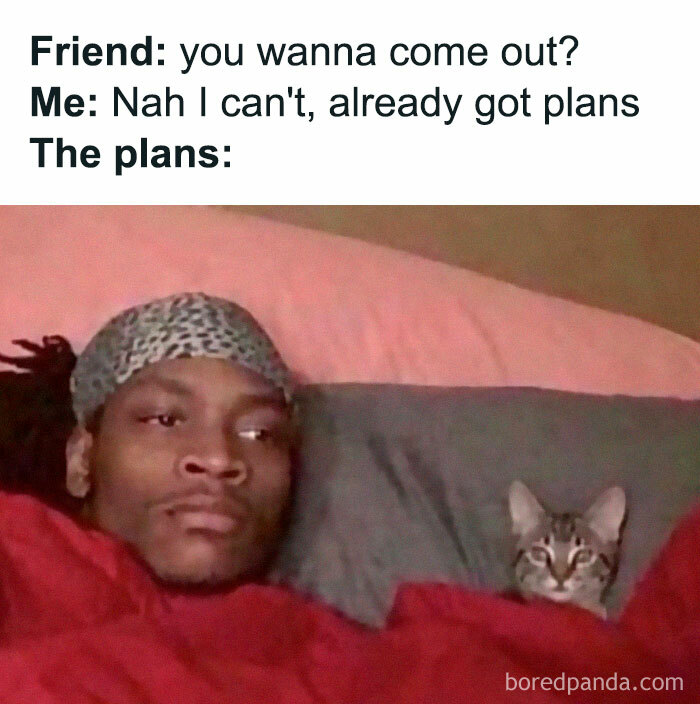 A relatable meme of a person lying in bed with a cat, humorously depicting canceled plans.