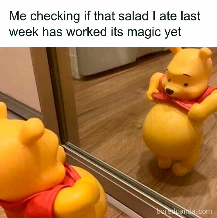 Relatable meme of a bear looking at its belly in the mirror, captioned about salad's effect.