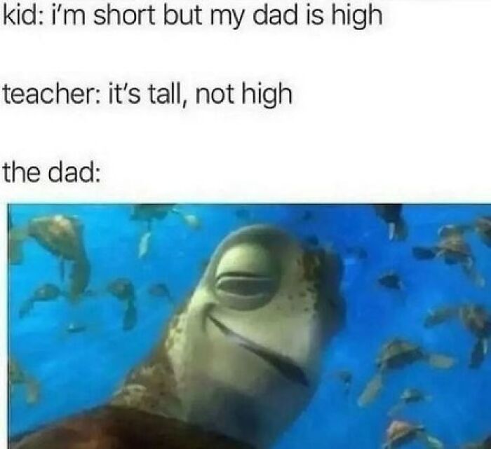 Relatable meme featuring a turtle looking dazed, showing humor in language mix-up about height.
