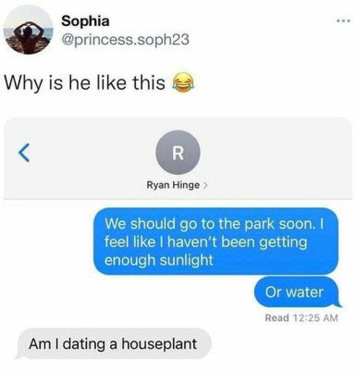 A relatable meme about someone feeling like a houseplant needing sunlight and water.