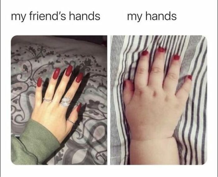 Relatable-Funny-Memes-Jokes