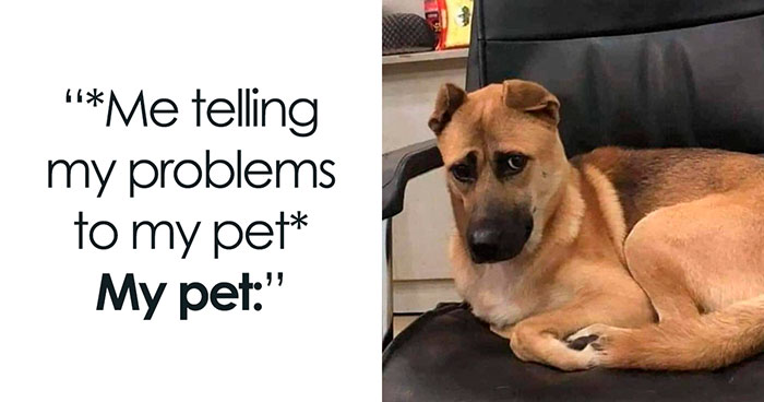 A Selection Of The Most Relatable Memes You’ll Find